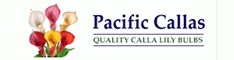 Pacific Callas Pacific Callas